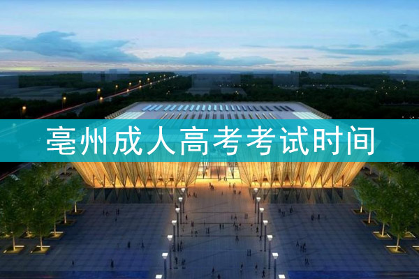 亳州成人高考考试时间