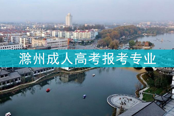 滁州成人高考报考专业