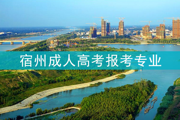 宿州成人高考报考专业