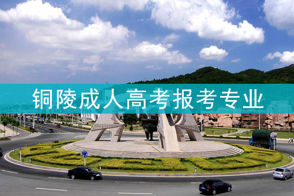 铜陵成人高考报考专业