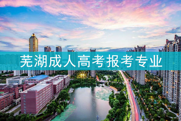 芜湖成人高考报考专业