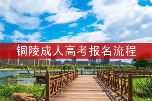 铜陵成人高考报名流程