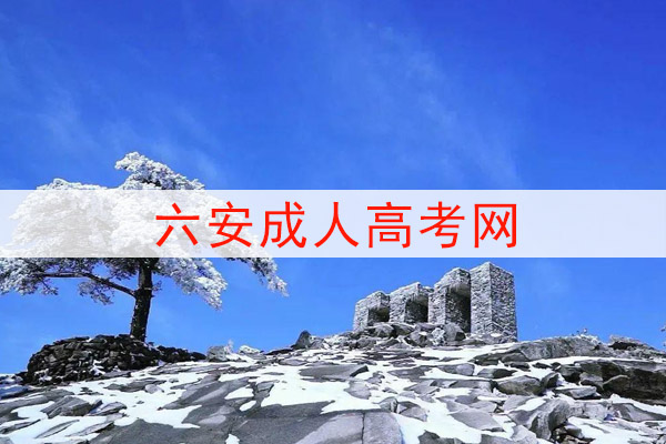 六安成人高考网