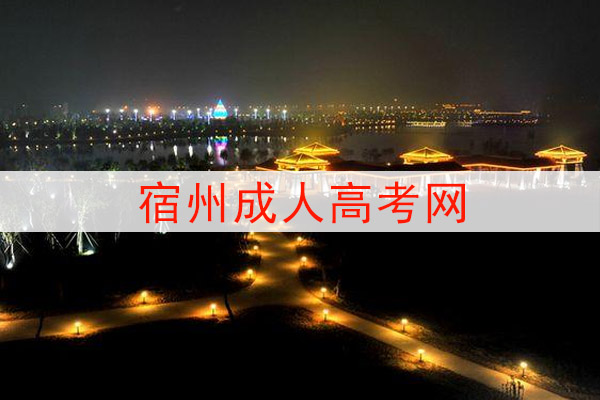 宿州成人高考网