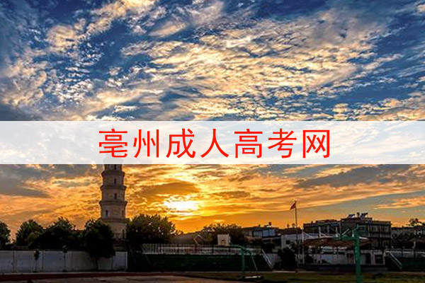 亳州成人高考网
