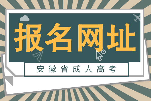安徽成人高考报名网址