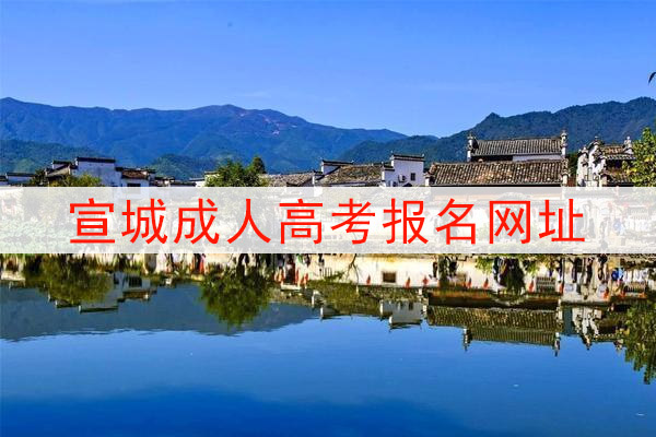 宣城成人高考报名网址