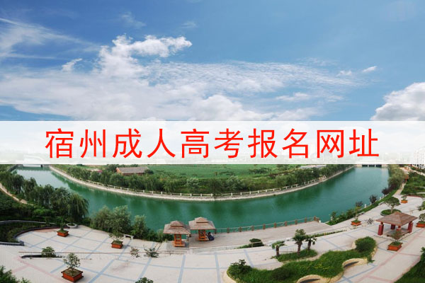 宿州成人高考报名网址