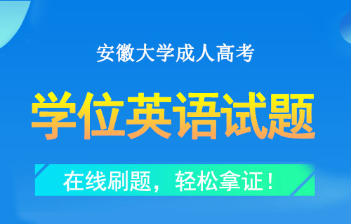 安徽大学成人高考学位英语试题
