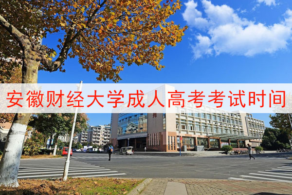 安徽财经大学成人高考考试时间