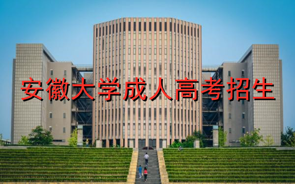 安徽大学成人高考招生