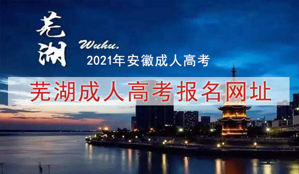 芜湖成人高考报名网址