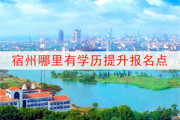 宿州哪里有学历提升报名点