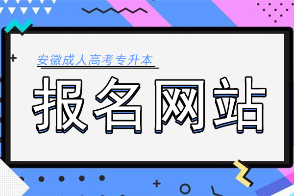 安徽成考专升本哪个网站报名