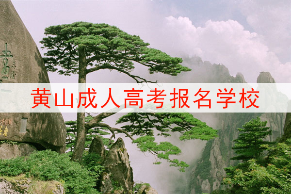黄山成人高考可以报考的学校