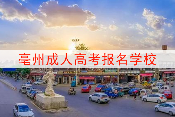 亳州成人高考可以报考的学校