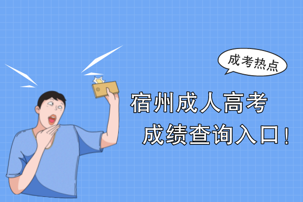 宿州成人高考成绩查询入口