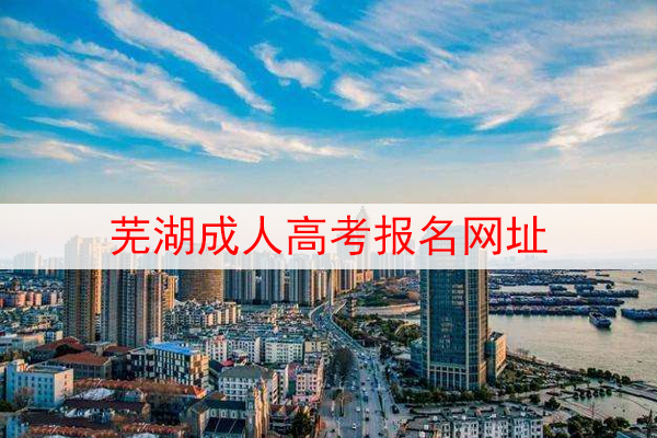 芜湖成人高考报名网址