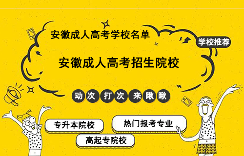 2022安徽成考专升本院校
