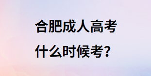 合肥成人高考什么时候考？
