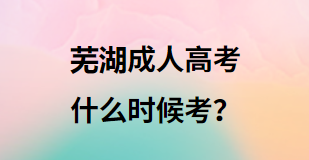 芜湖成人高考什么时候考？
